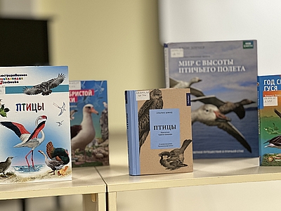 Алина Курбатова Псков  В библиотеке имени Курбатова состоялся час экологии, посвященный Птице года  России | 15.05.2024 | Псков - БезФормата