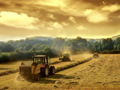 agriculturefoto.jpg