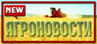 АгроНовости