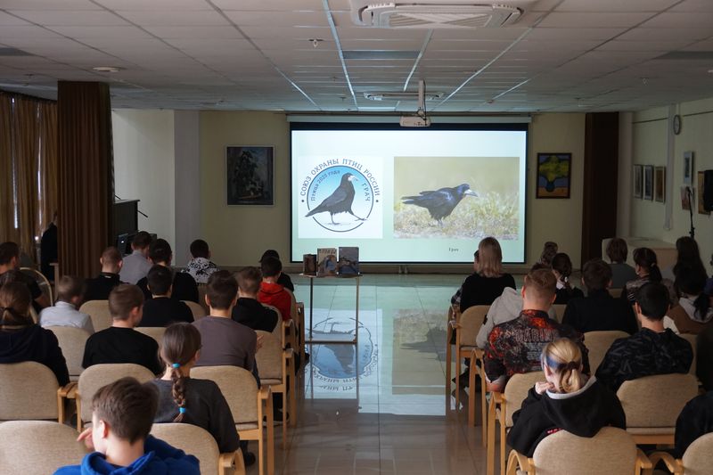 ptici0704 3