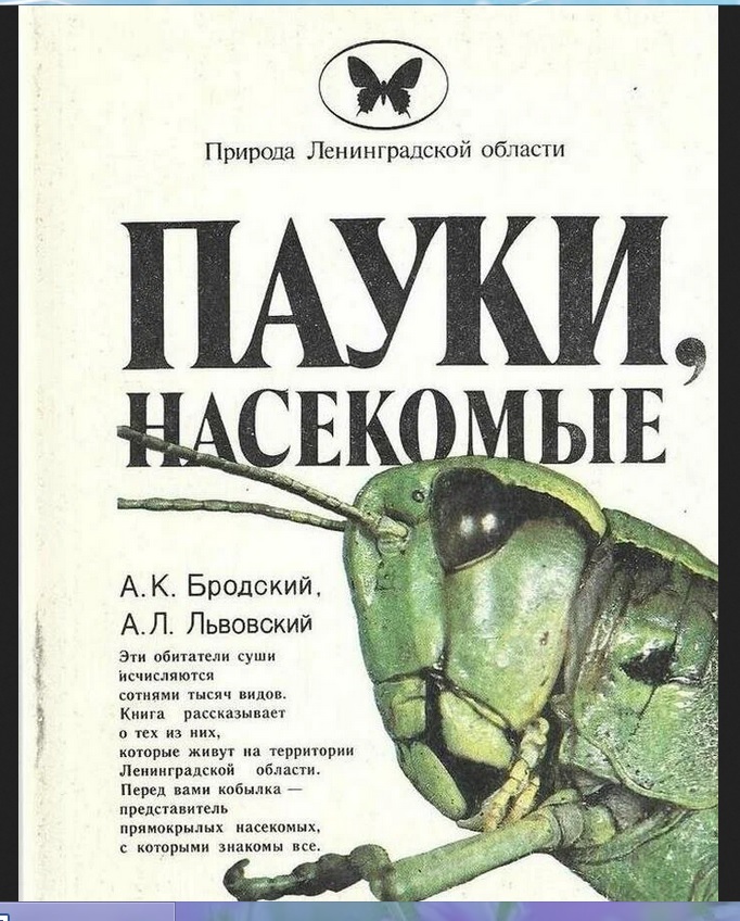brodskii