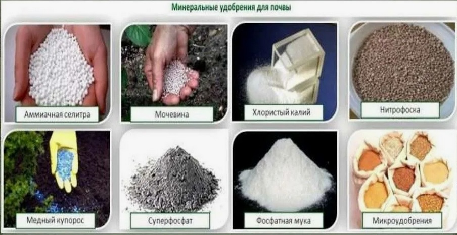 mineral