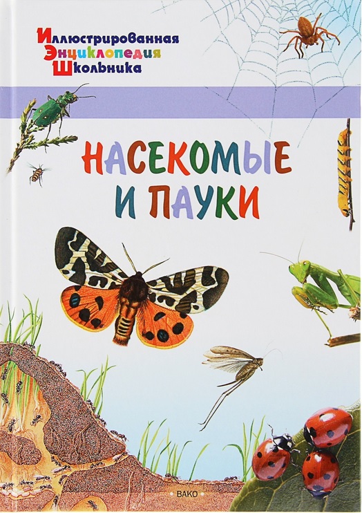 nasekomye