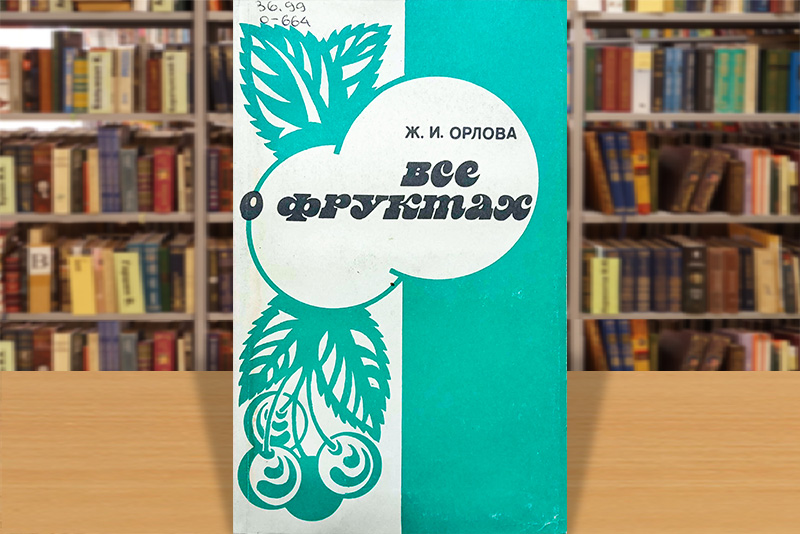 orlova