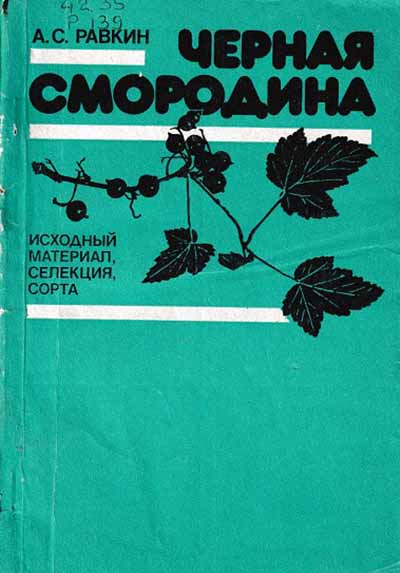 smorodina3