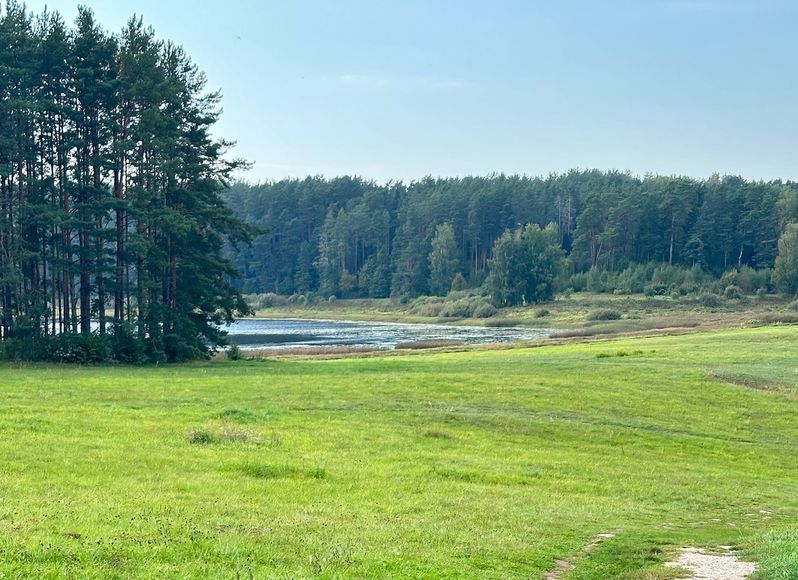 aspushkin060625 3