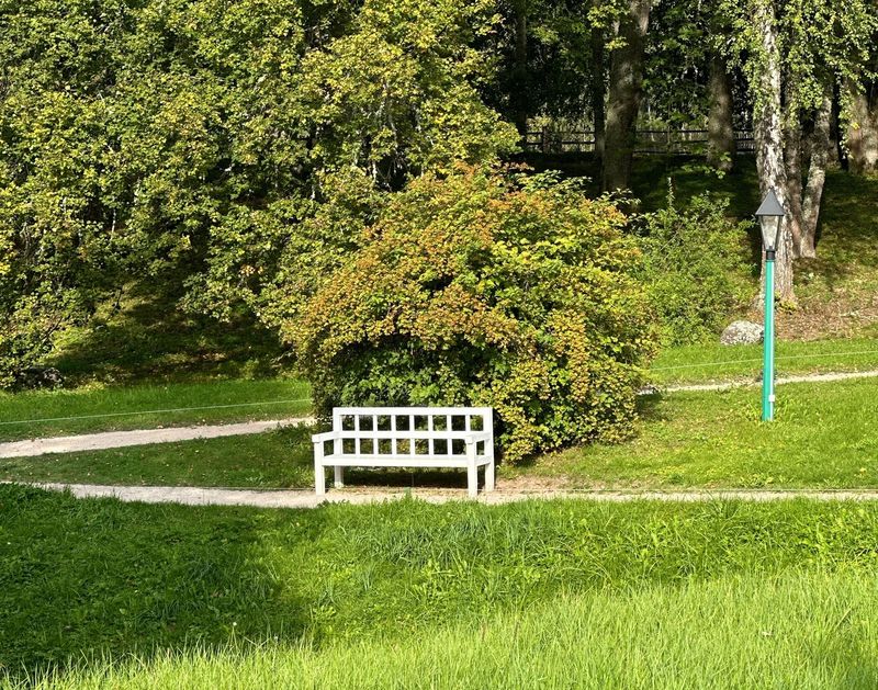 aspushkin060625 5