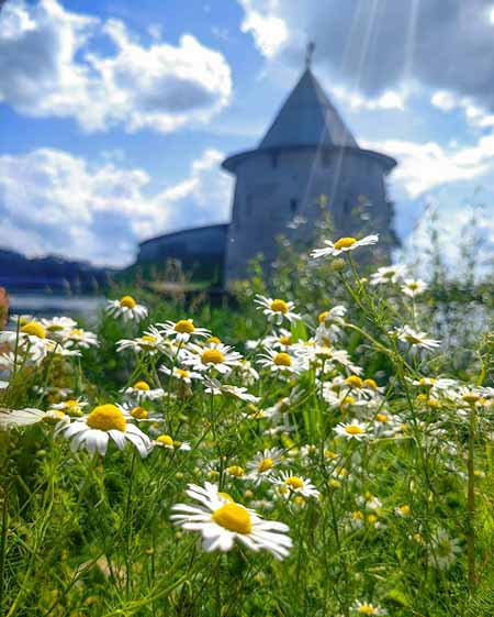 pskov bashny