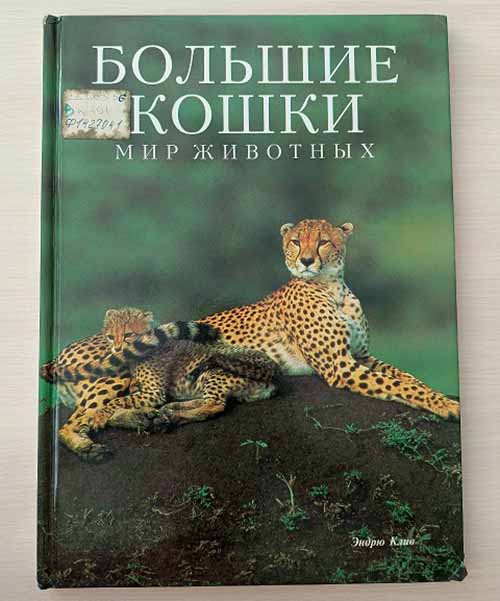 klio tigr