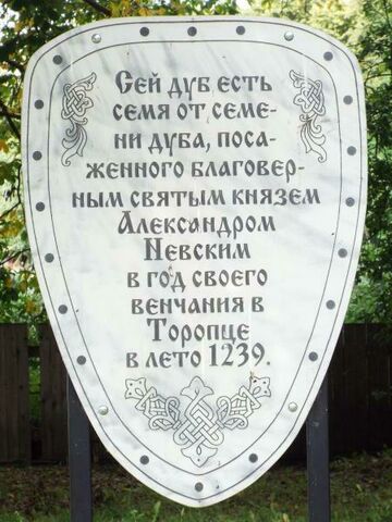 dub nevskogo