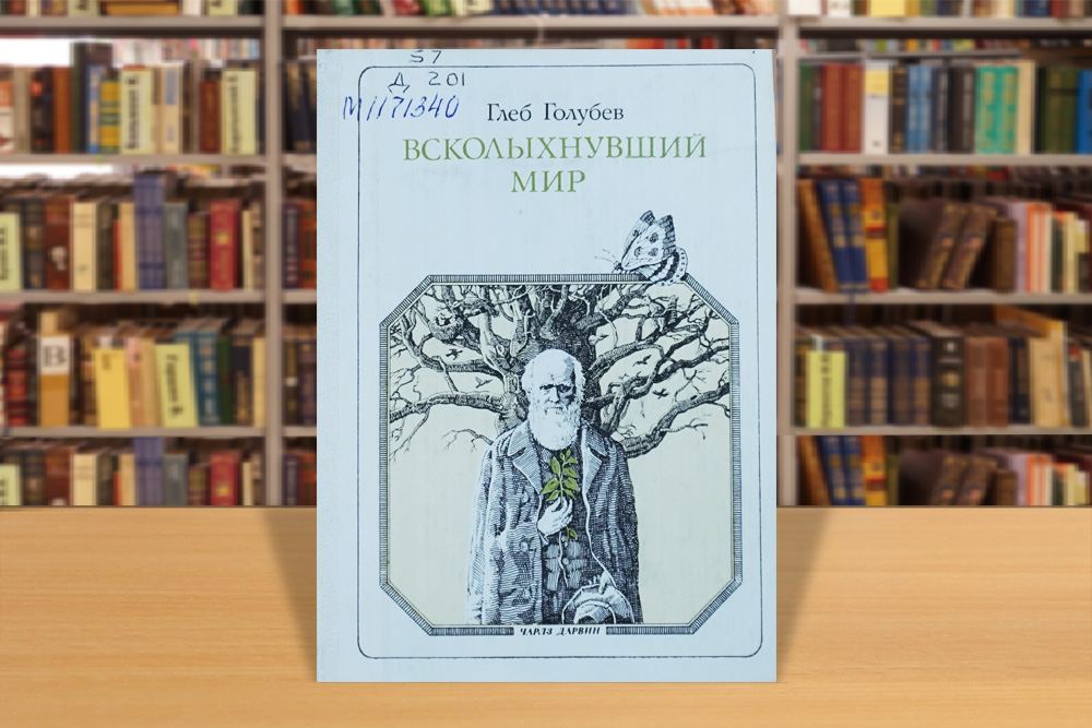 darvinch120225-13.jpg
