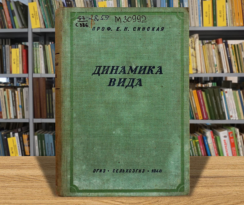 dinamikavida-2.jpg