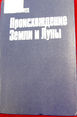 denzemli8
