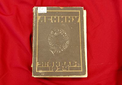 leninu24