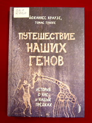 nauchbo 12