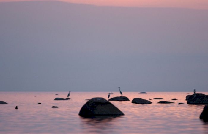 irinakondr010426 15 1 2