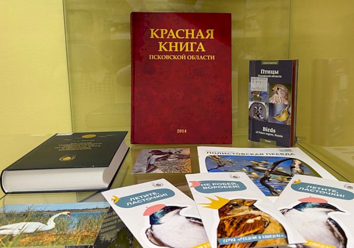 irinakondr010426 2 1