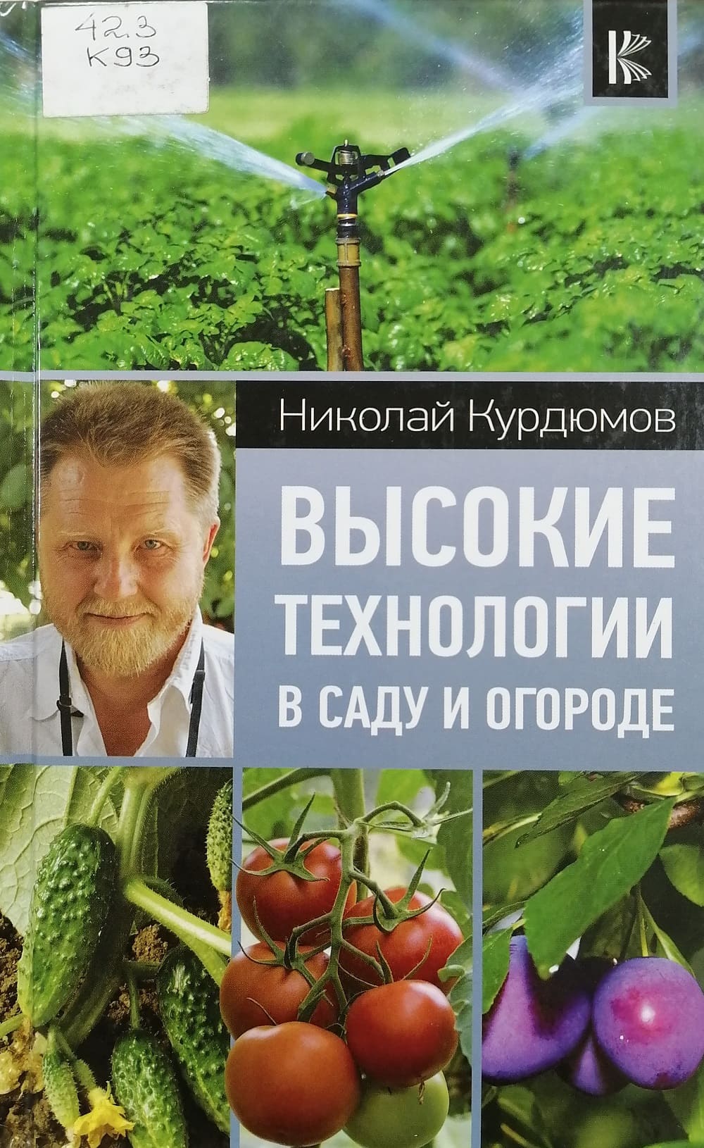 kurdumov