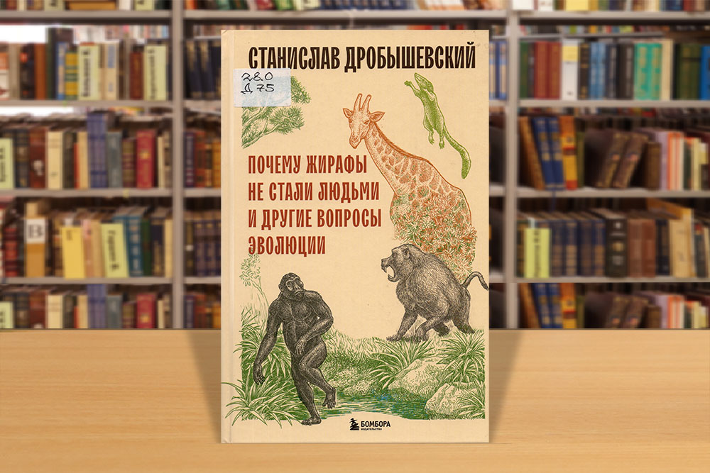 onashihpredkah200225-3.jpg