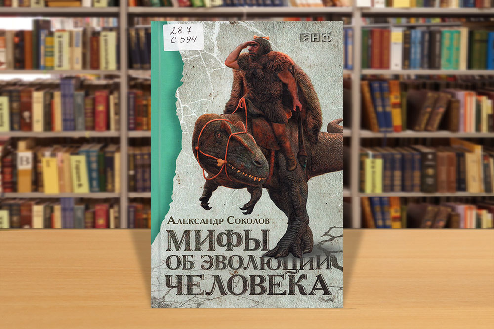 onashihpredkah200225-9.jpg