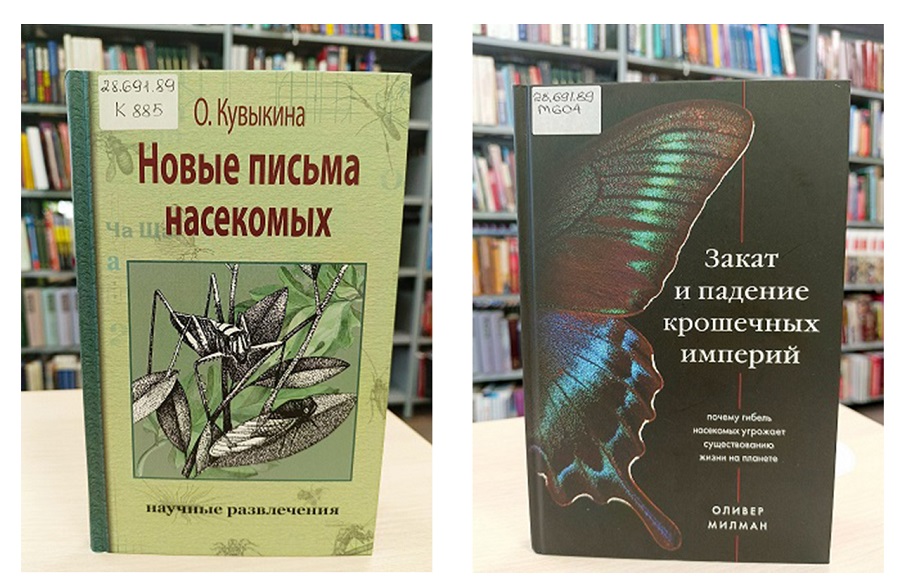 babochki 2