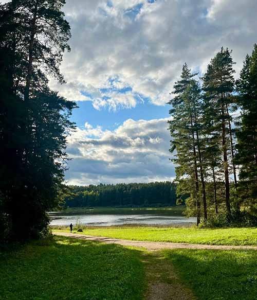 burchenkova les i ozero