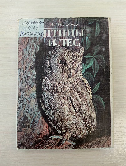 inozemcev