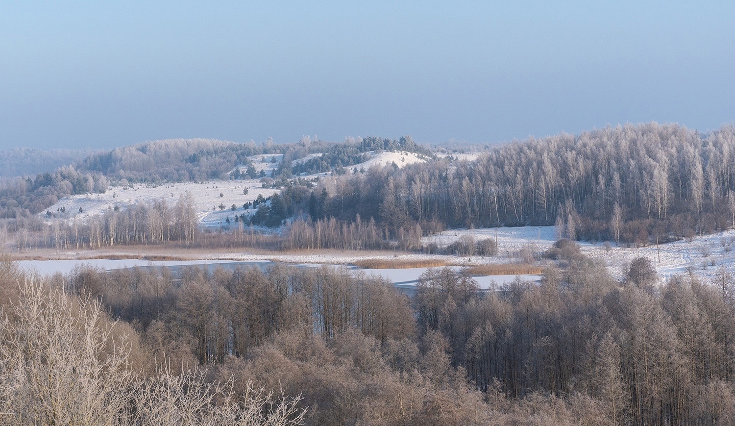 izborsk 1
