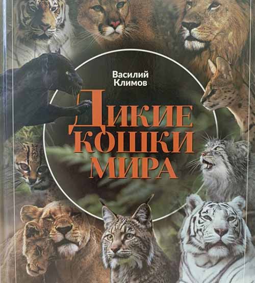 klimov
