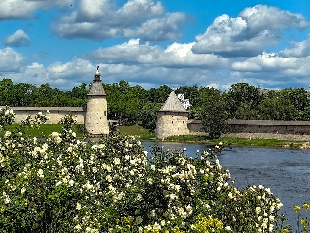 pskov solovieva
