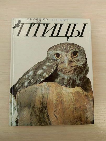 pticy