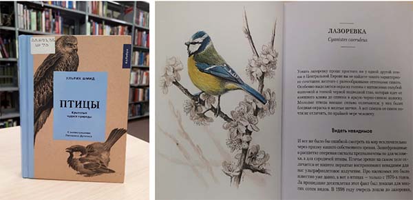 ptitcy book