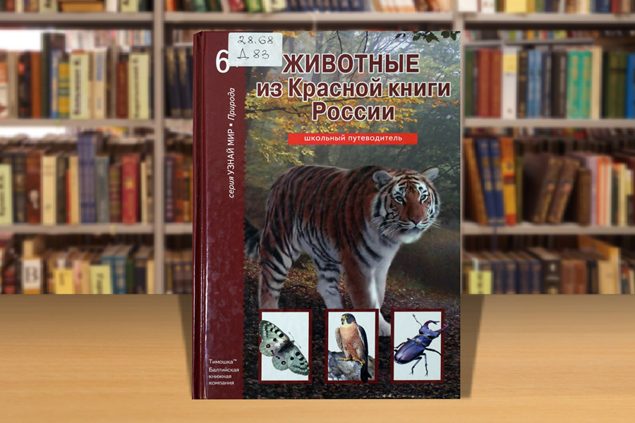 zapovtdnikirus1024-4.jpg