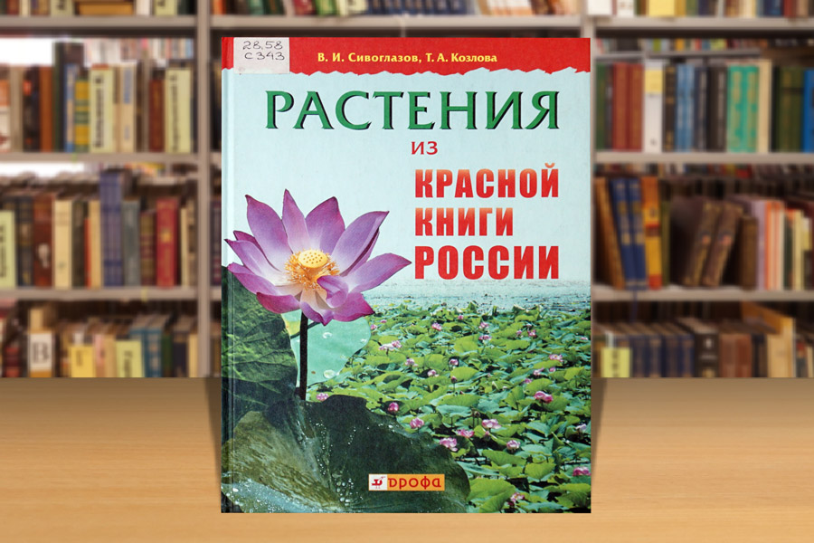 zapovtdnikirus1024-6.jpg