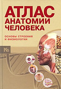Анатомический атлас